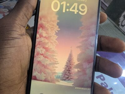 iPhone XSMAX NO FACE ID